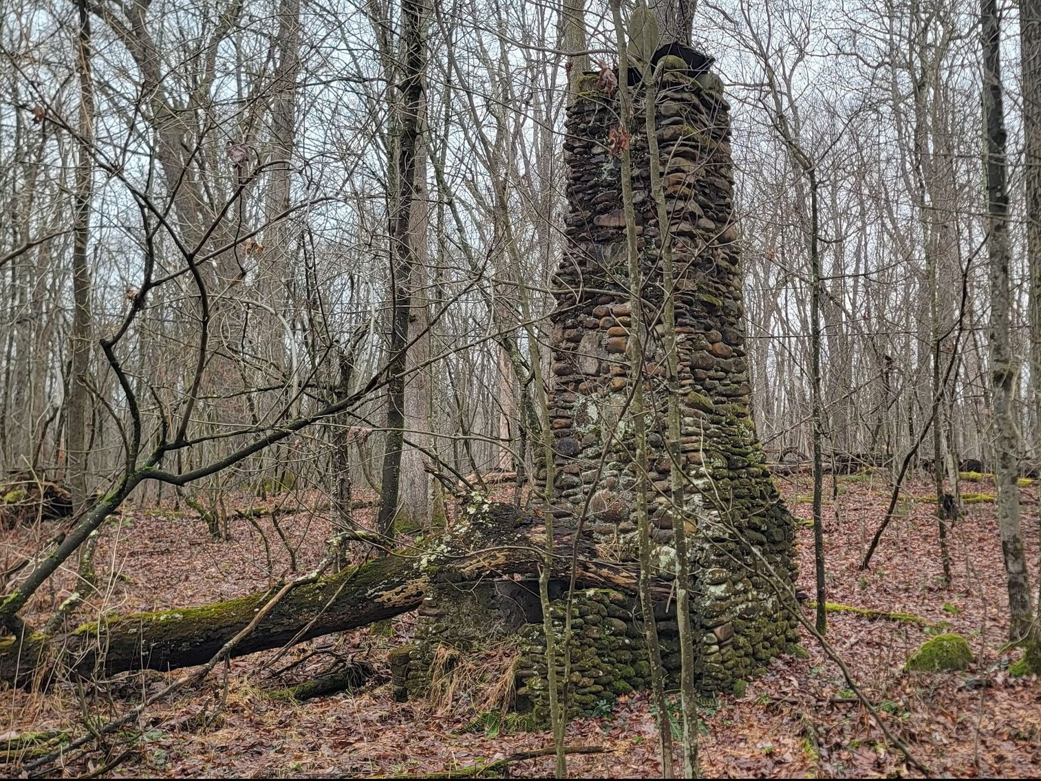 Image for TBD Cranesville Road Terra Alta WV