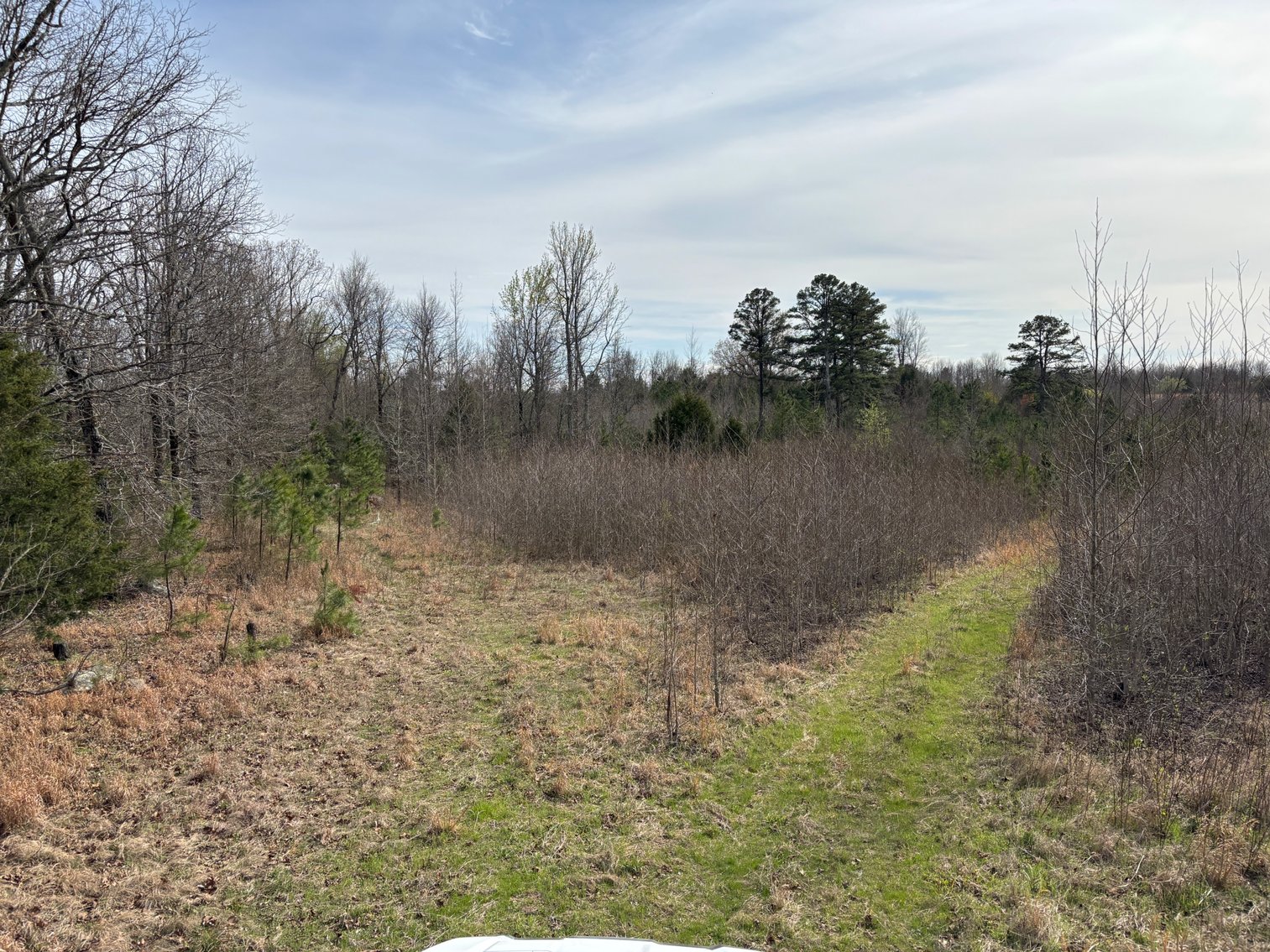 Image for 200 +/- Acres Pasture & Premium Hunting Ground