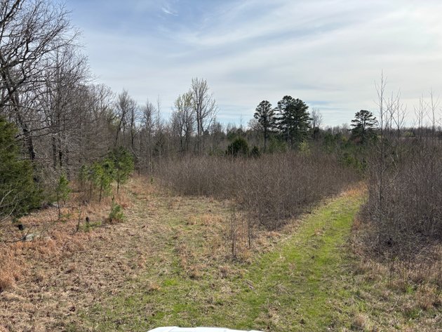 Image for 200 +/- Acres Pasture & Premium Hunting Ground