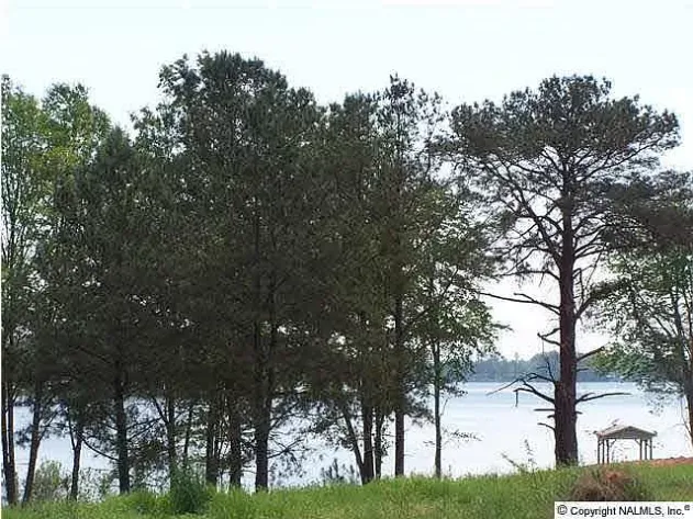 Image for 820 County Road 359, Leesburg, AL 35983