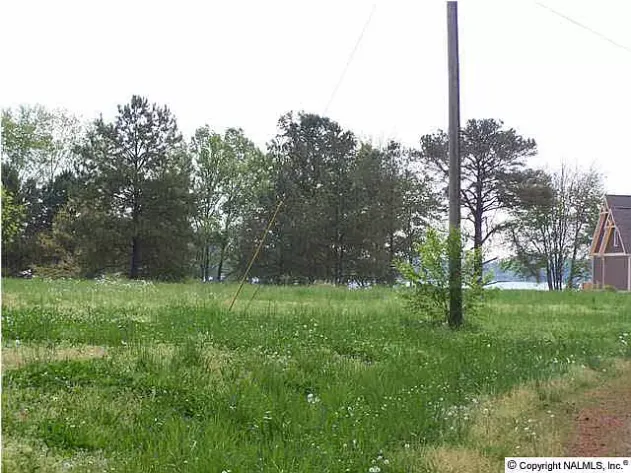 Image for 820 County Road 359, Leesburg, AL 35983