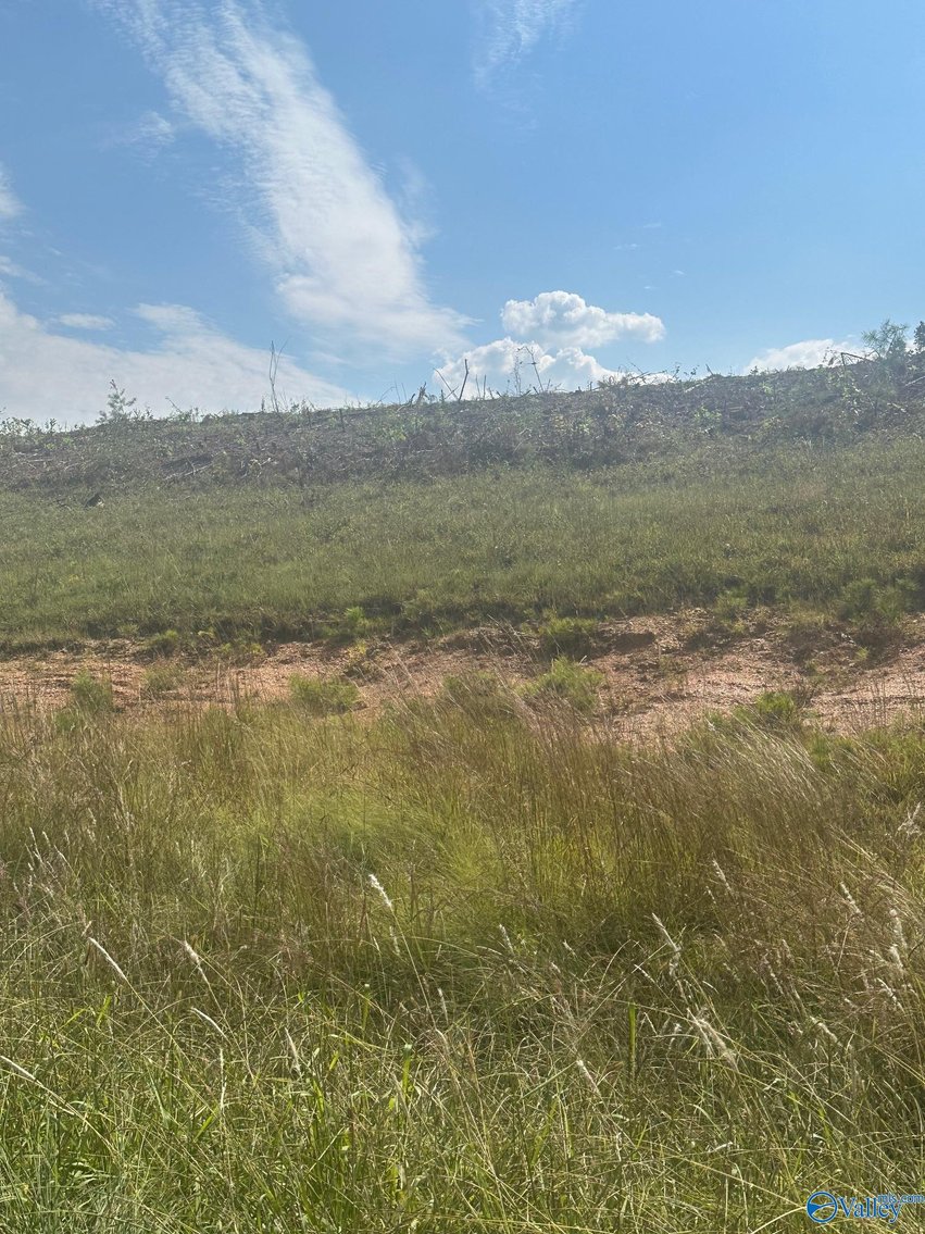 Image for 15 +/- Commercial Acres with highway frontage on both Hwy 411 and Old Hwy 411 in Centre, Alabama