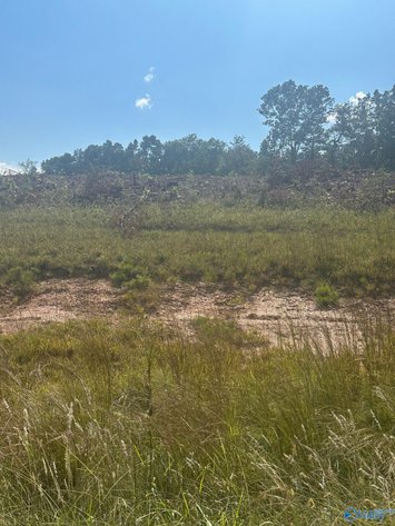 Image for 15 +/- Commercial Acres with highway frontage on both Hwy 411 and Old Hwy 411 in Centre, Alabama