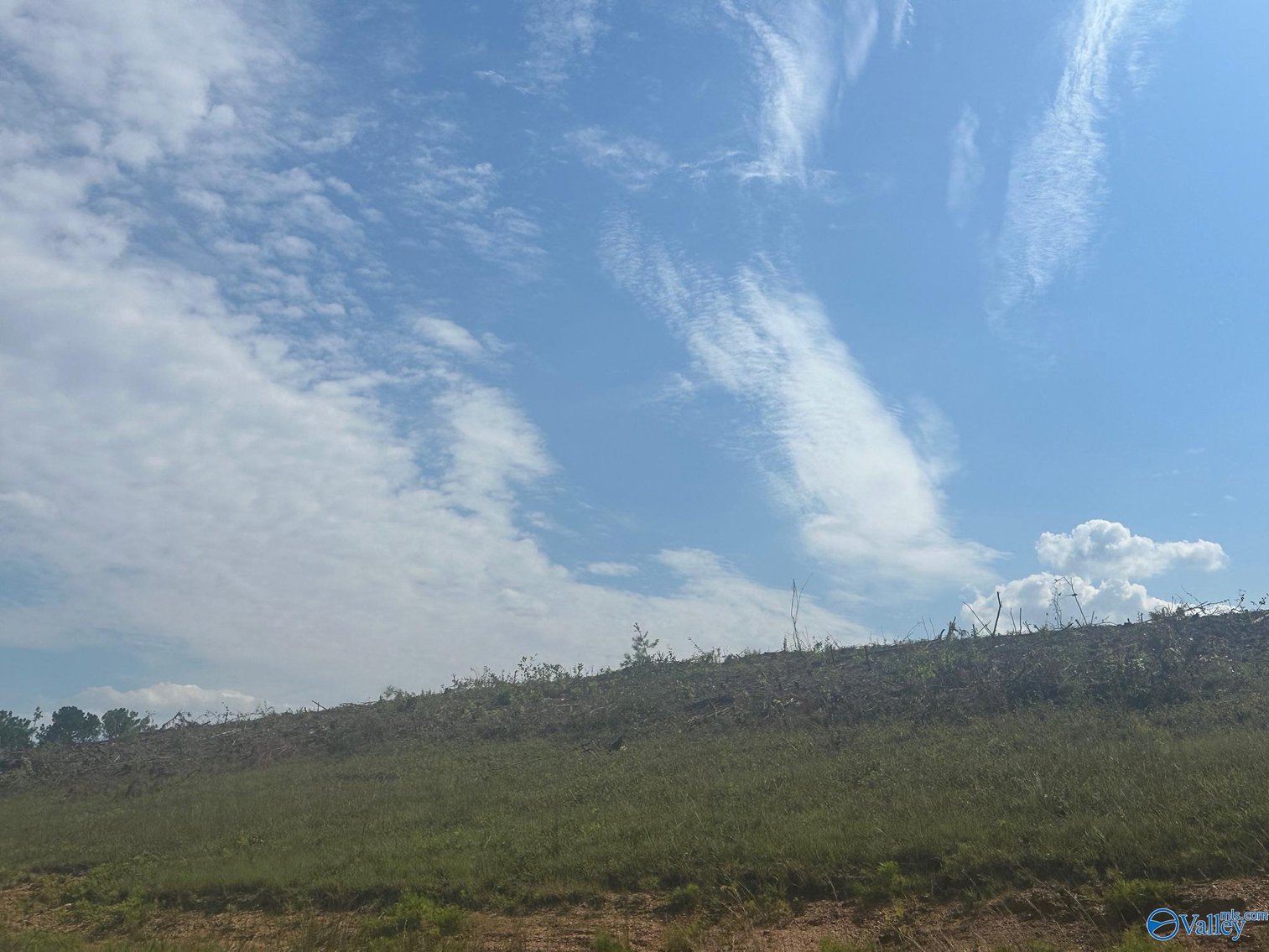 Image for 15 +/- Commercial Acres with highway frontage on both Hwy 411 and Old Hwy 411 in Centre, Alabama