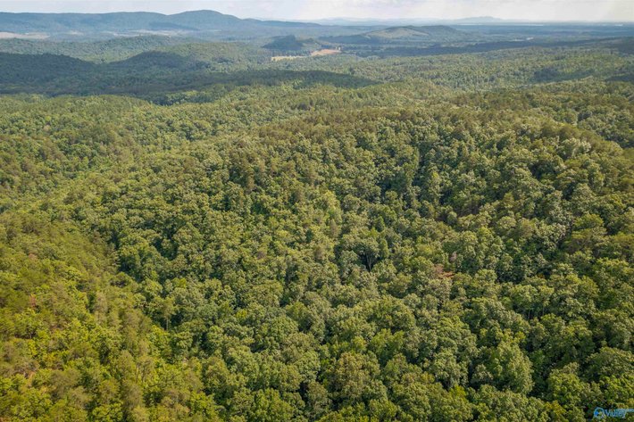 Image for 20 +/- acres on County Road 97 in Gaylesville, Alabama