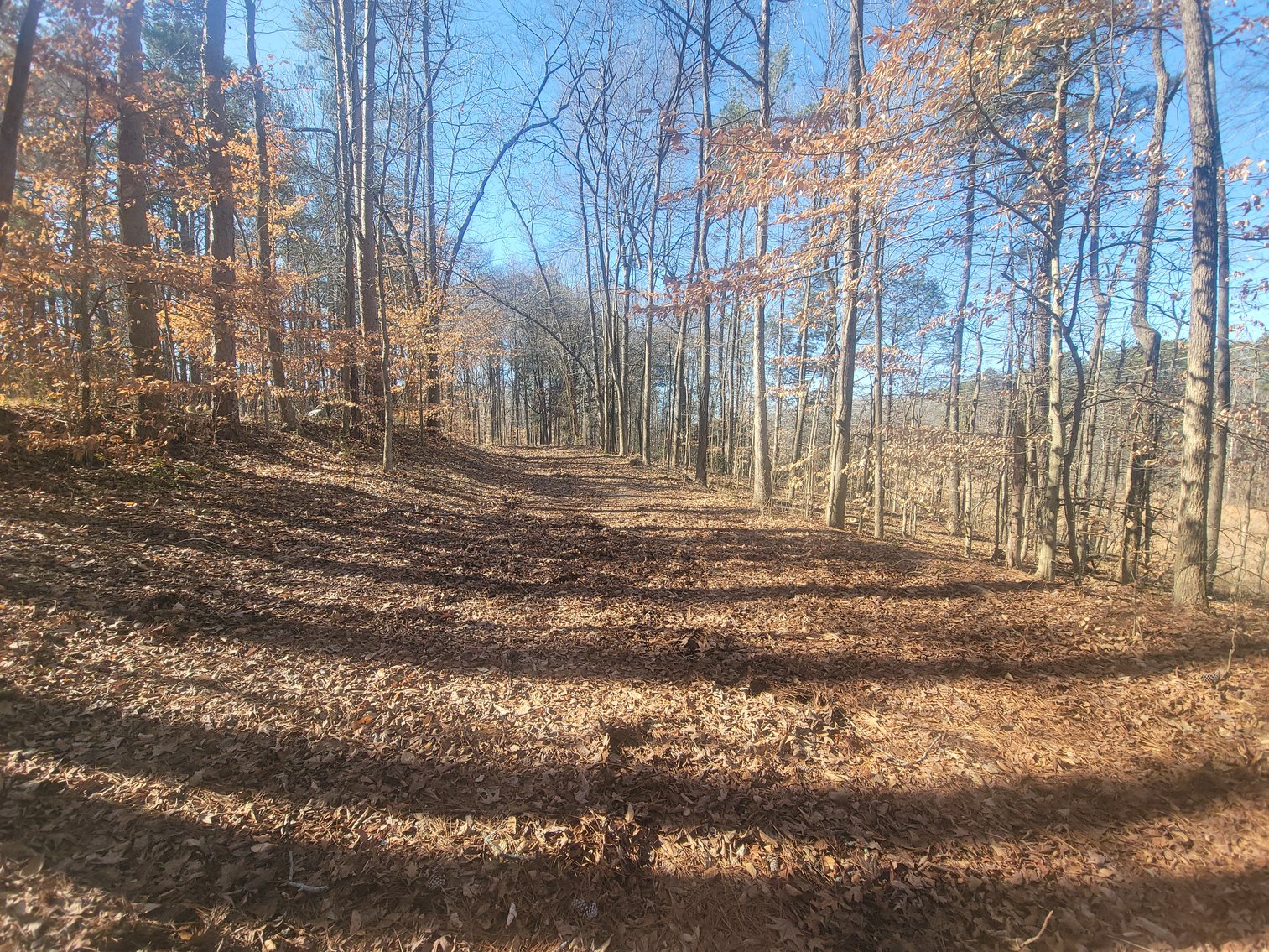 Image for 1855 S Flat Rock Road Douglasville, Georgia 30134