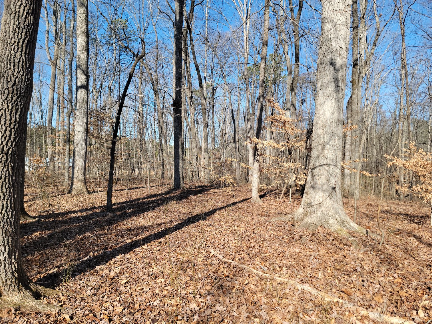 Image for 1855 S Flat Rock Road Douglasville, Georgia 30134