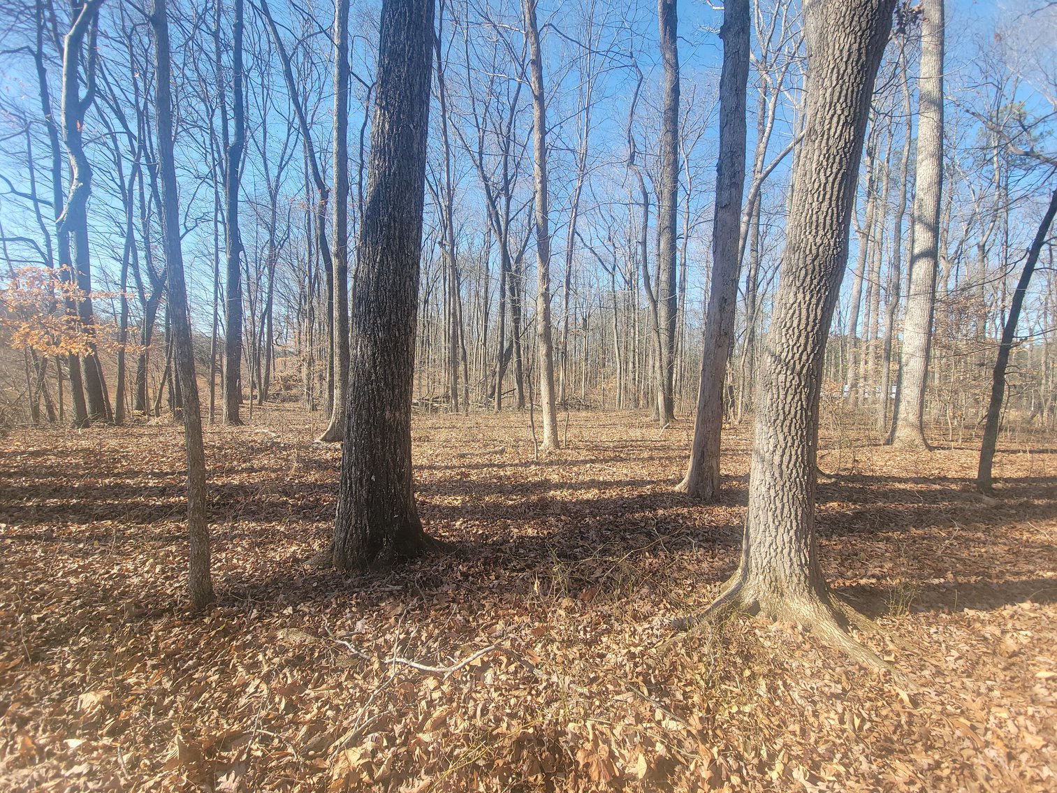 Image for 1855 S Flat Rock Road Douglasville, Georgia 30134