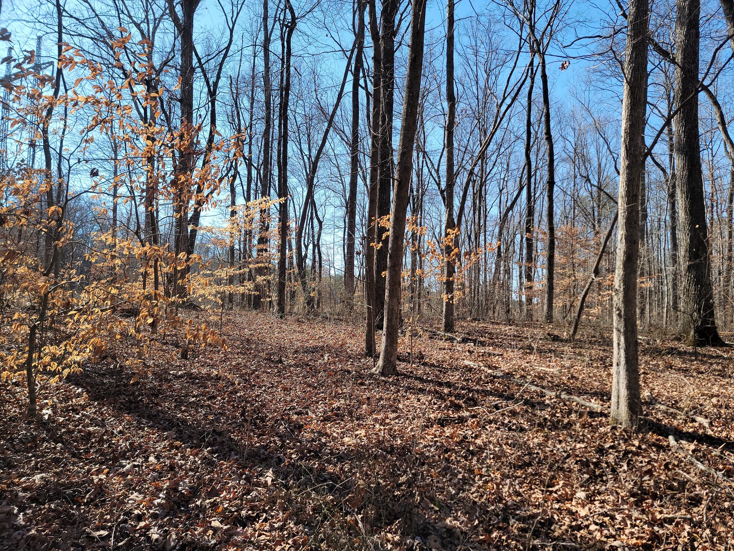 Image for 1855 S Flat Rock Road Douglasville, Georgia 30134