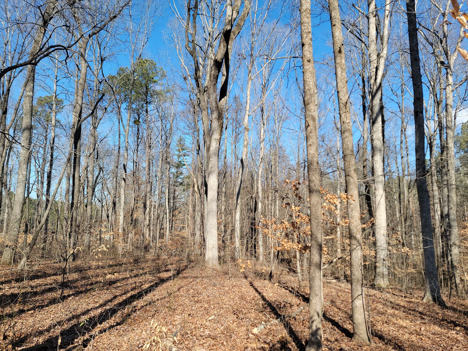 Image for 1855 S Flat Rock Road Douglasville, Georgia 30134