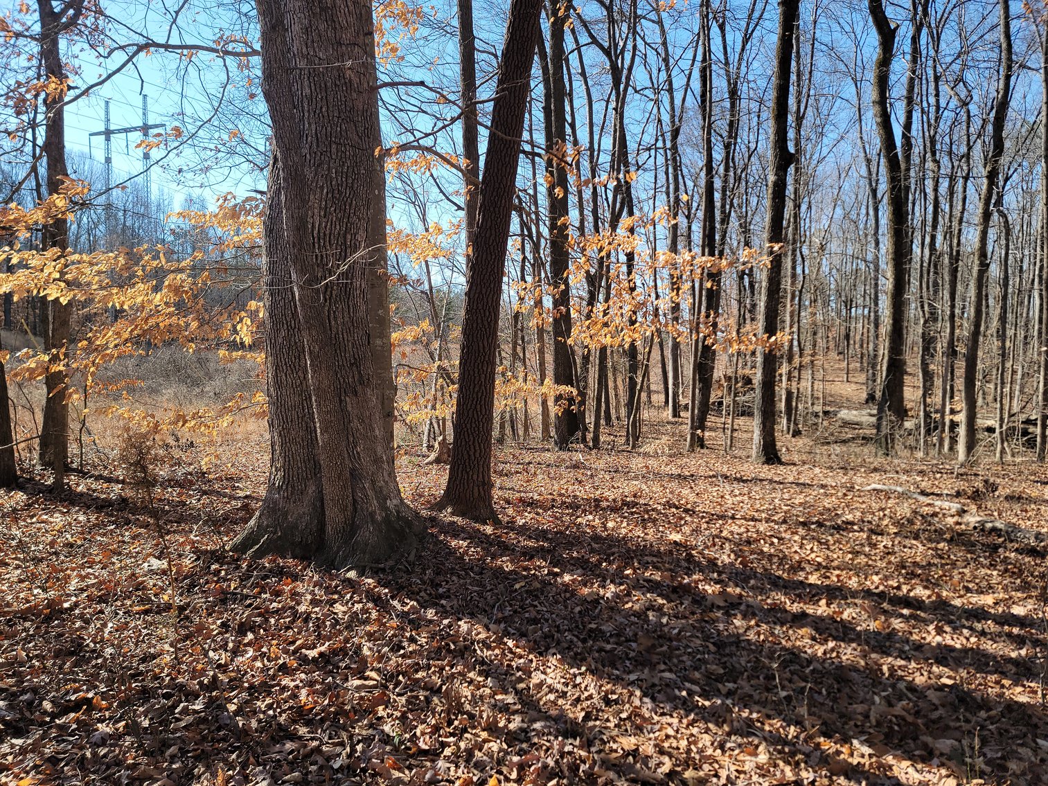 Image for 1855 S Flat Rock Road Douglasville, Georgia 30134