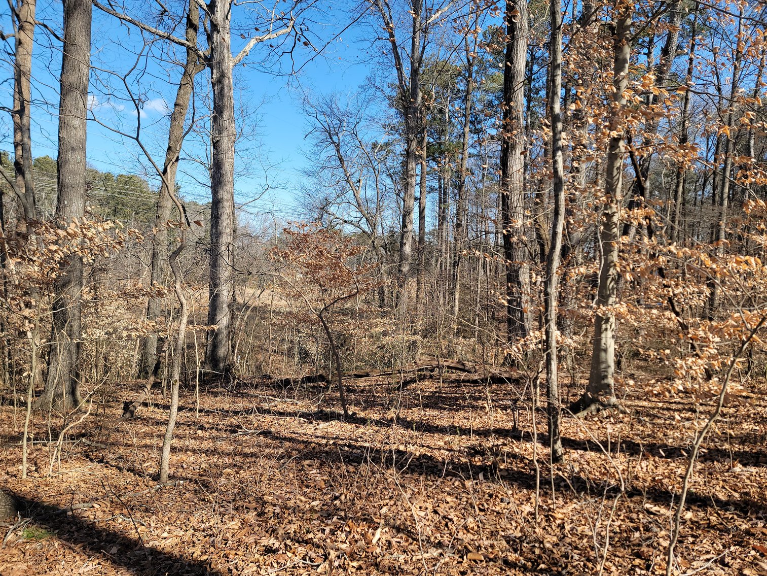 Image for 1855 S Flat Rock Road Douglasville, Georgia 30134