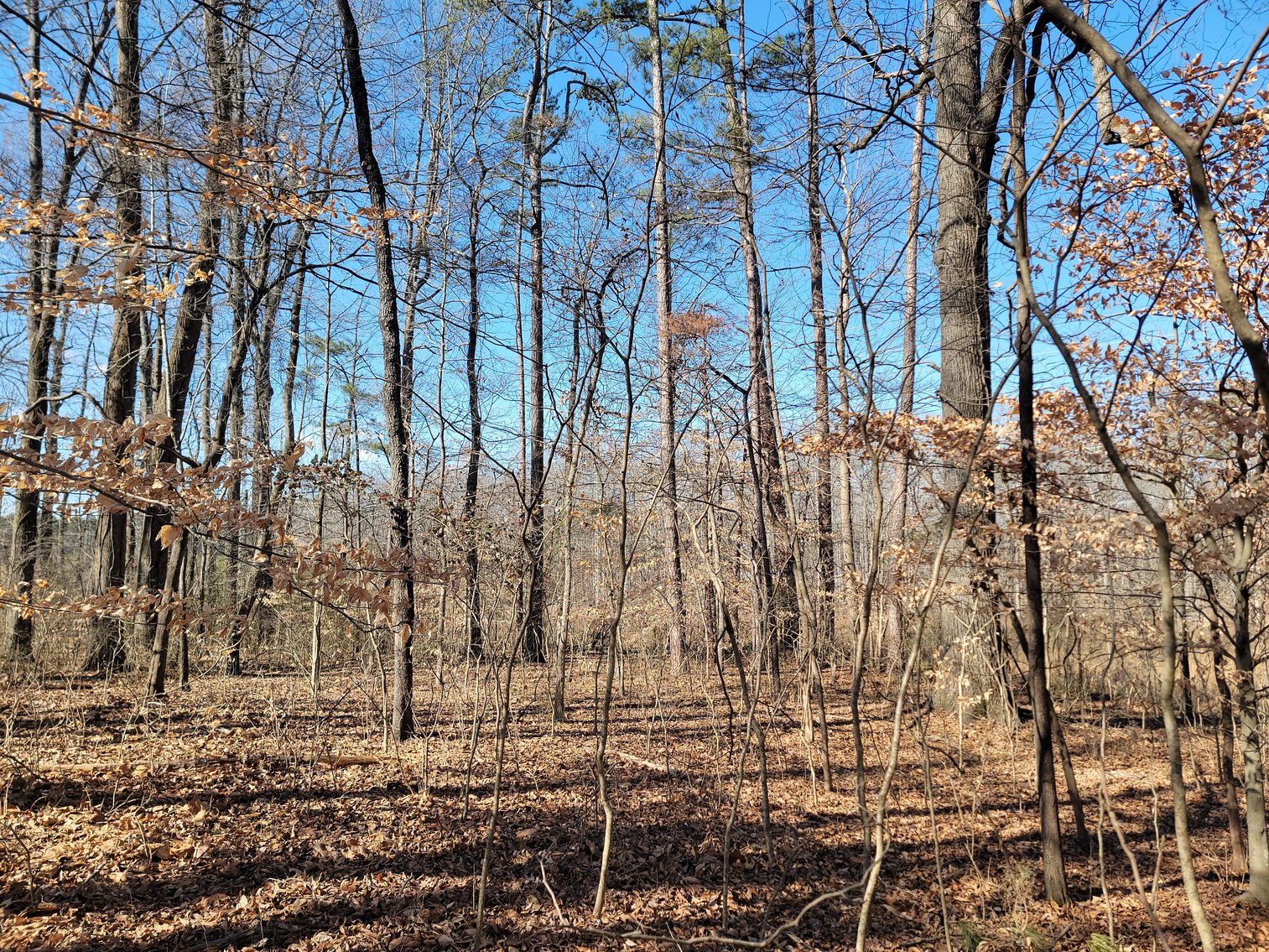 Image for 1855 S Flat Rock Road Douglasville, Georgia 30134