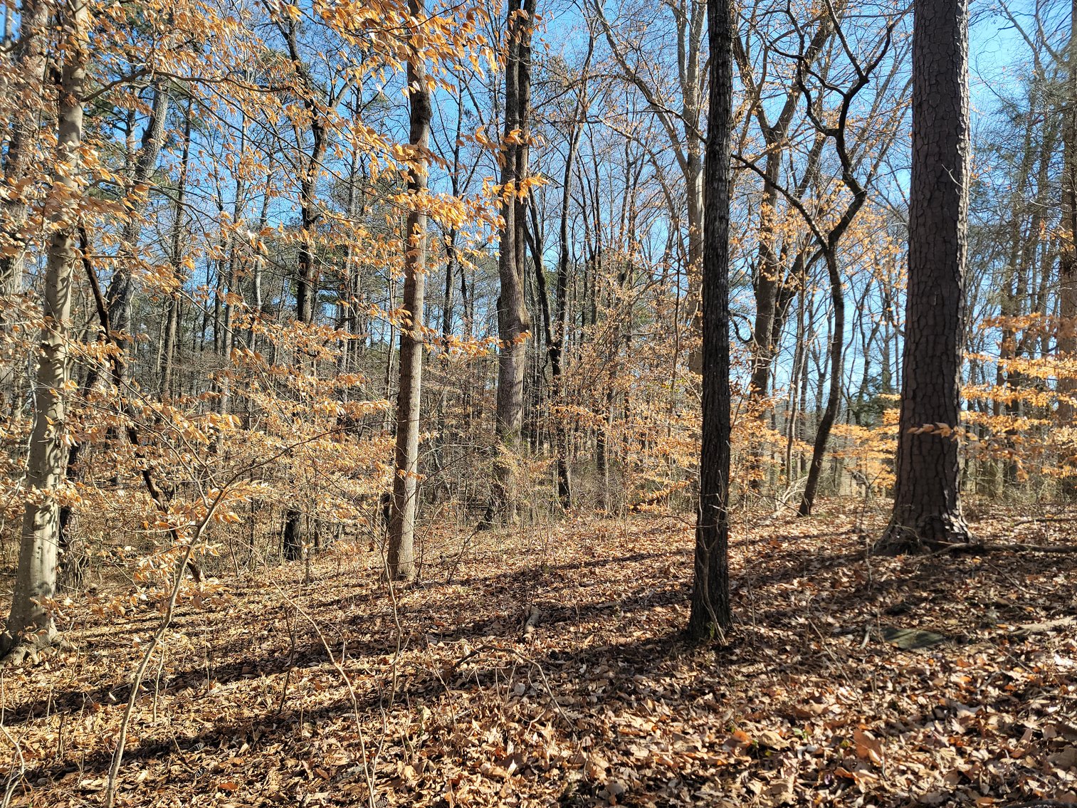 Image for 1855 S Flat Rock Road Douglasville, Georgia 30134