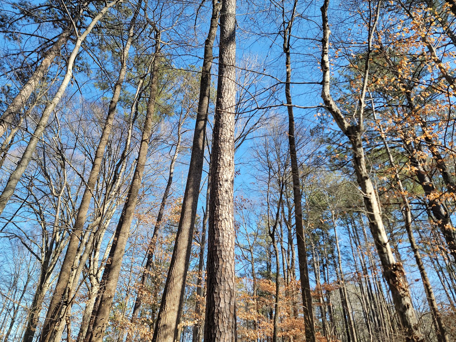 Image for 1855 S Flat Rock Road Douglasville, Georgia 30134