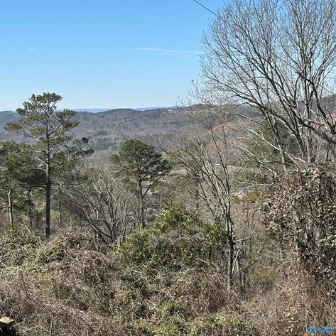 Image for 43+/- Acres SCENIC DRIVE Gadsden, AL