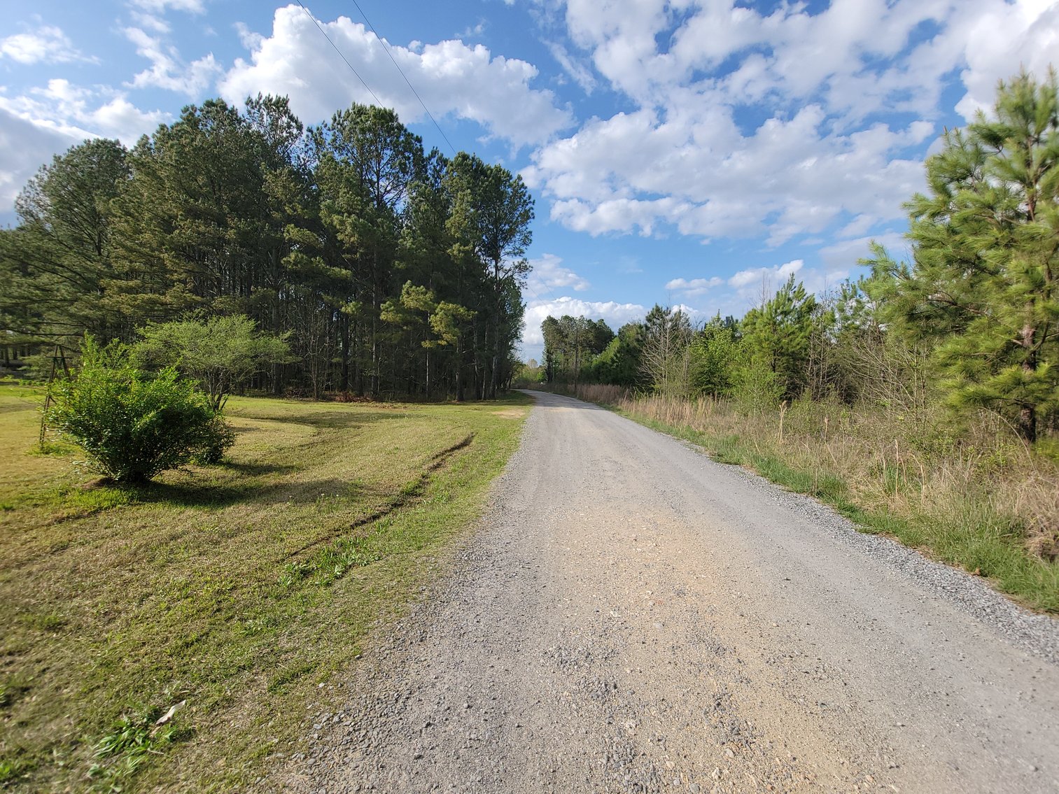 Image for ABSOLUTE AUCTION: WEISS Lake Waterfront, 05.10.25
