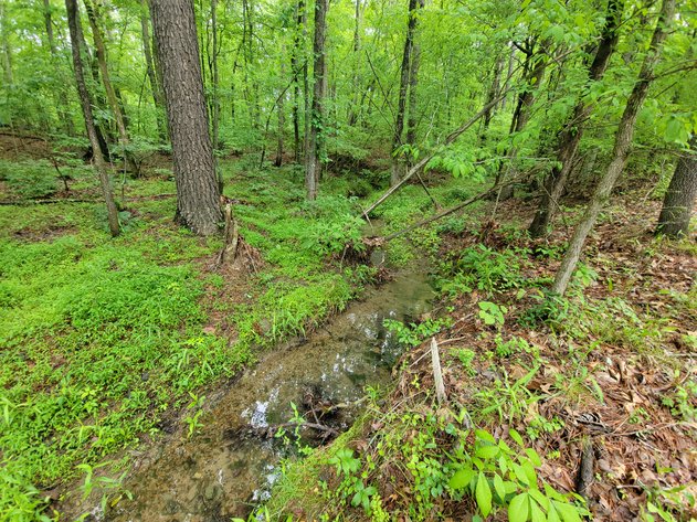 Image for AQUA VISTA DRIVE Gadsden, Alabama