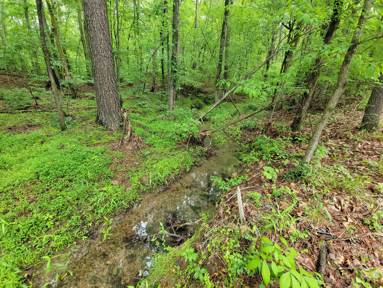 Image for AQUA VISTA DRIVE Gadsden, Alabama