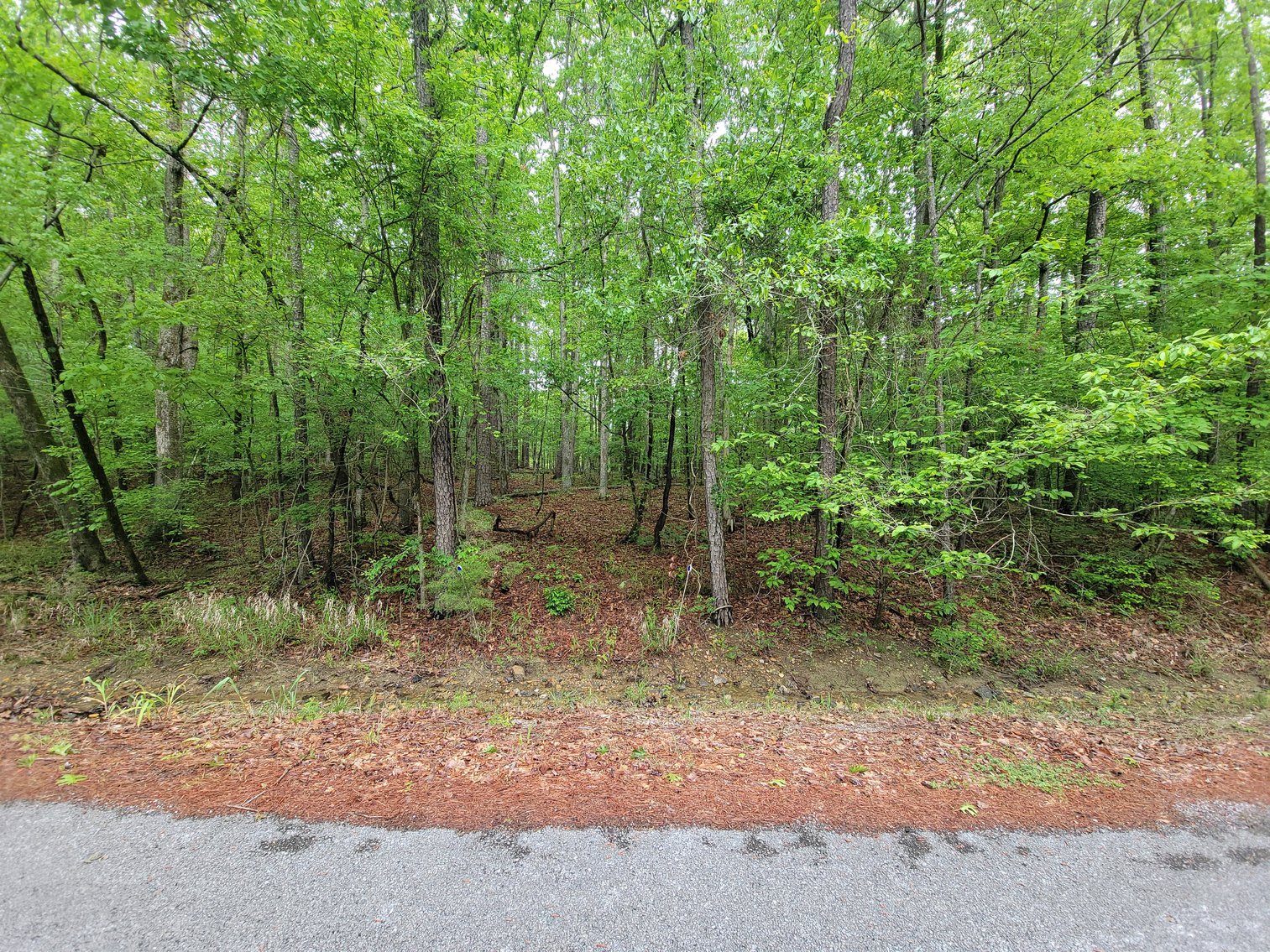 Image for AQUA VISTA DRIVE Gadsden, Alabama