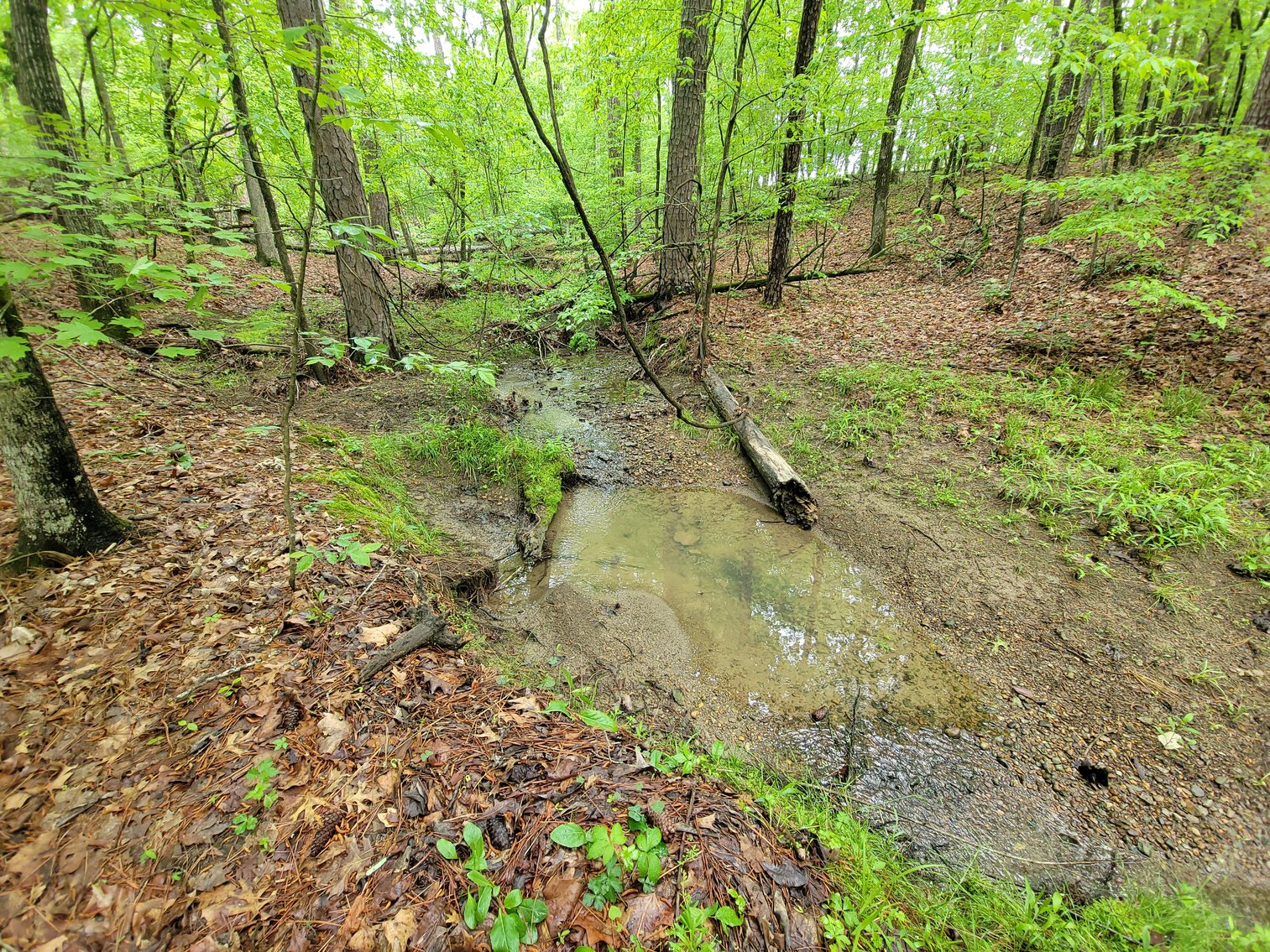 Image for AQUA VISTA DRIVE Gadsden, Alabama