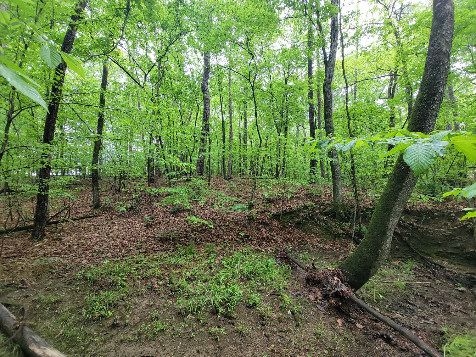 Image for AQUA VISTA DRIVE Gadsden, Alabama