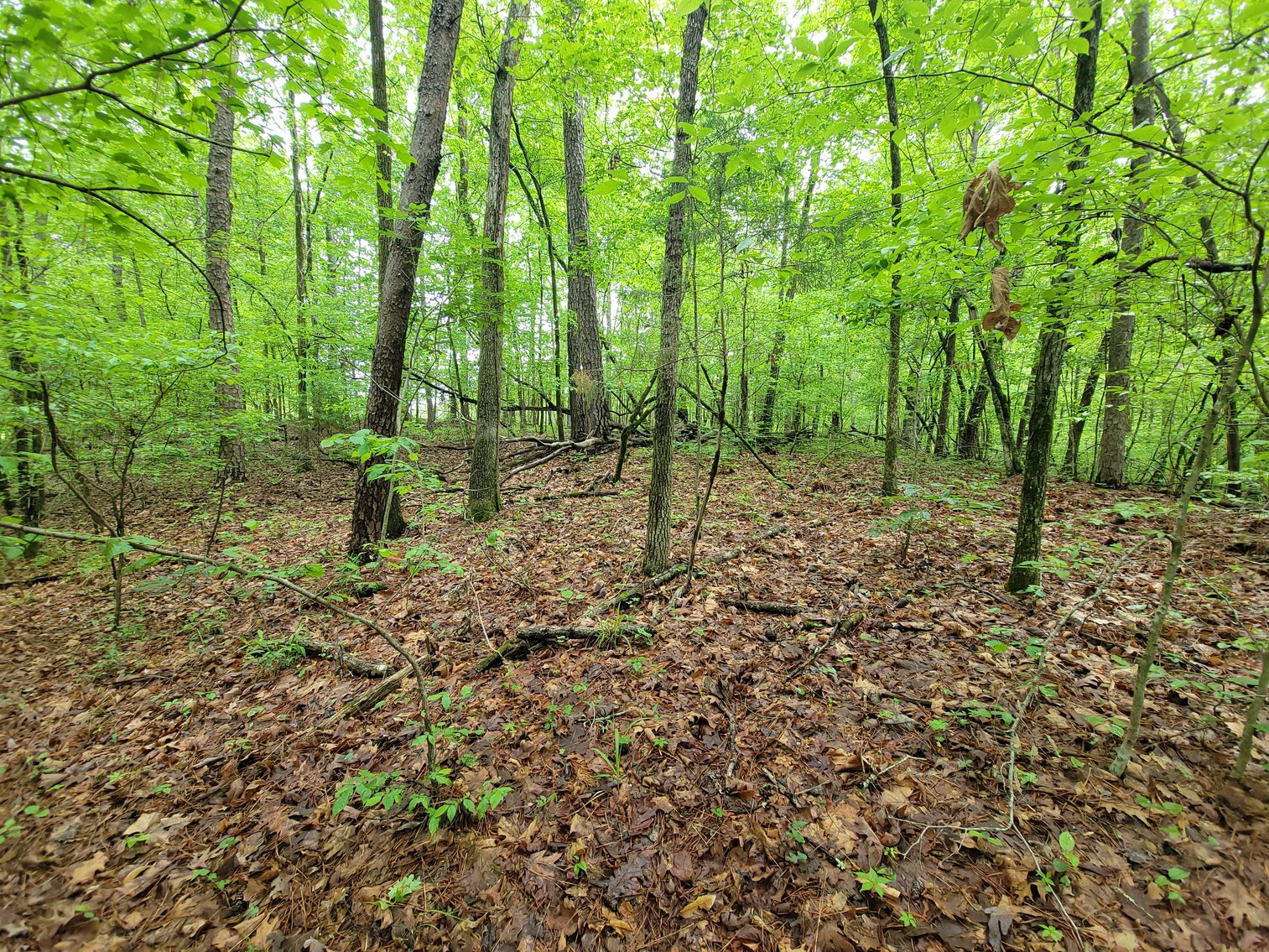 Image for AQUA VISTA DRIVE Gadsden, Alabama