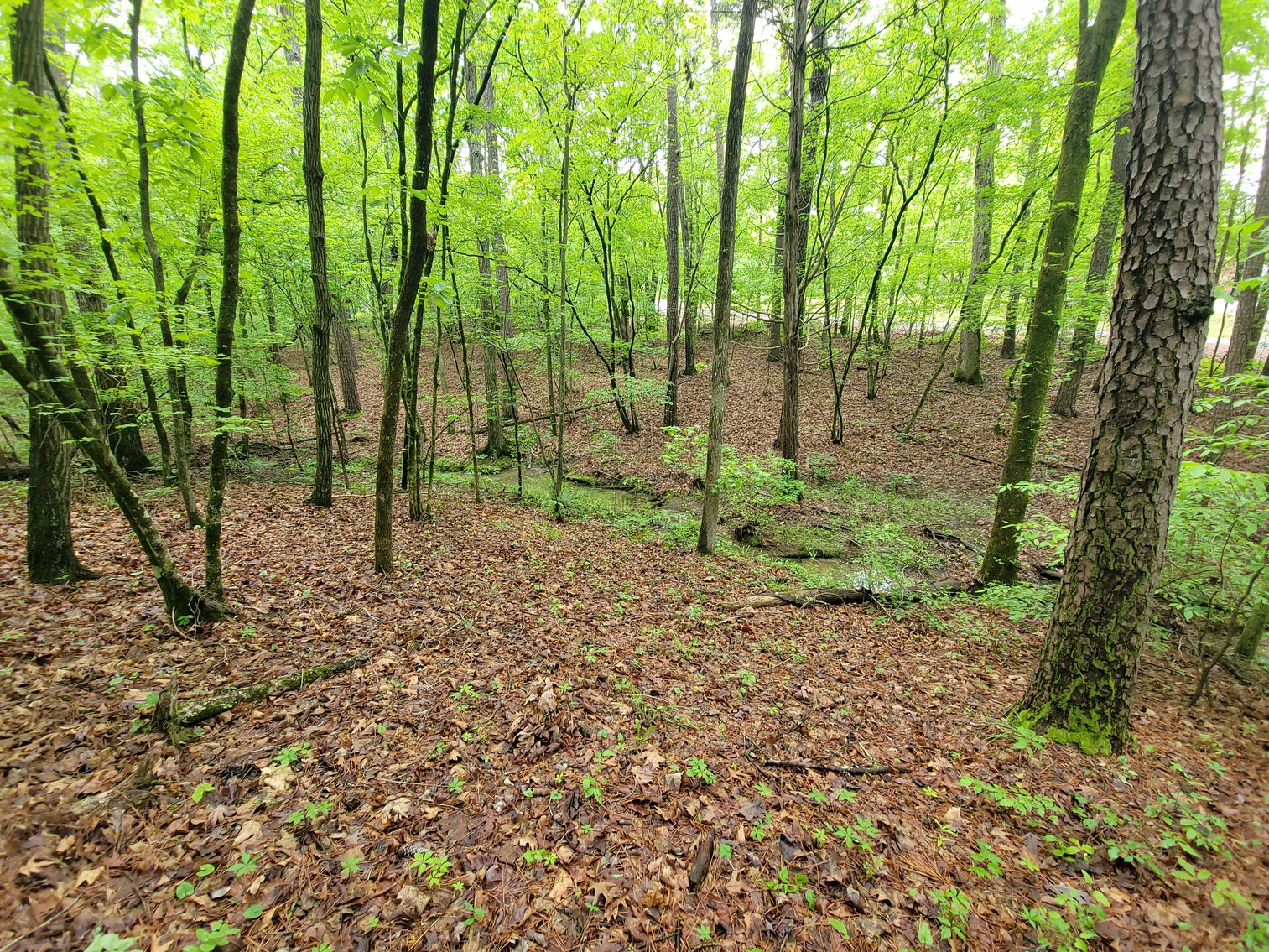 Image for AQUA VISTA DRIVE Gadsden, Alabama