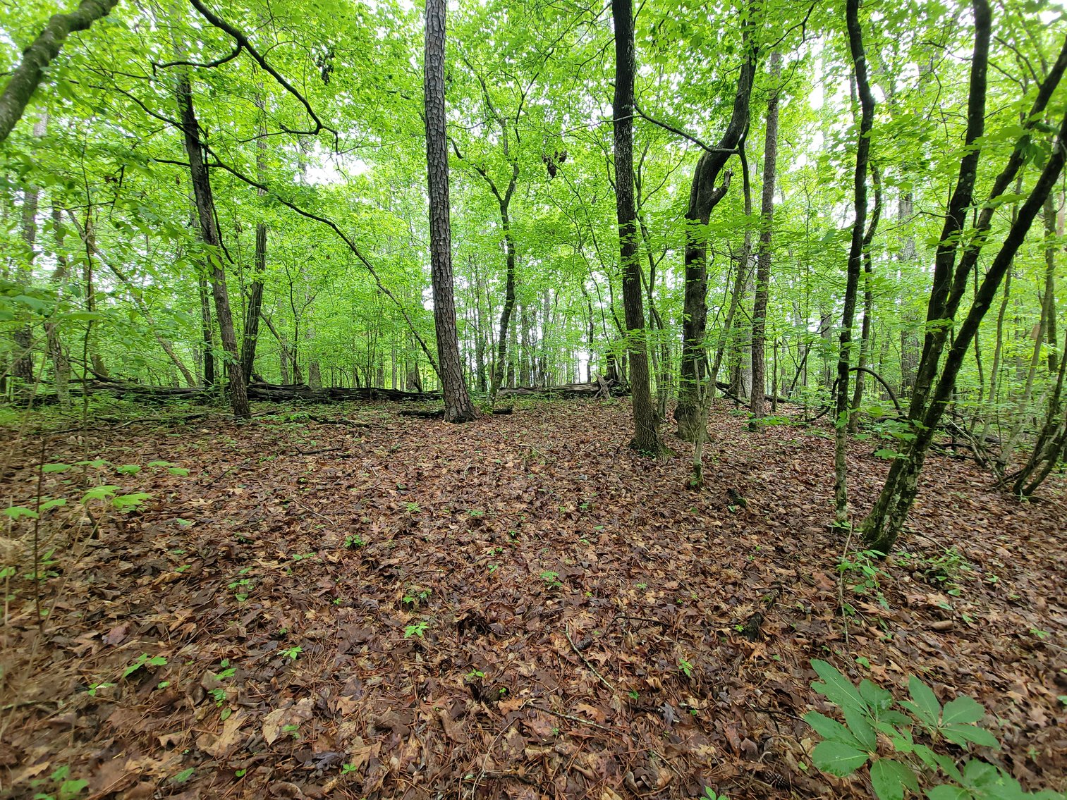 Image for AQUA VISTA DRIVE Gadsden, Alabama