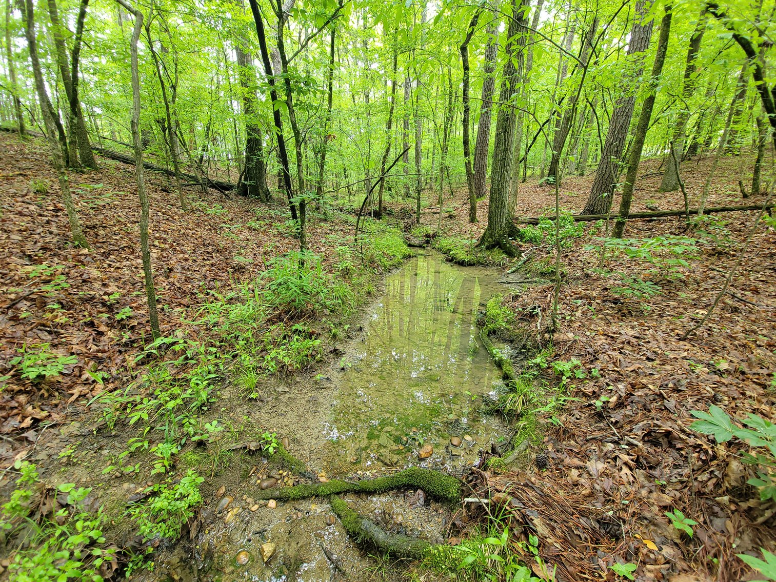 Image for AQUA VISTA DRIVE Gadsden, Alabama