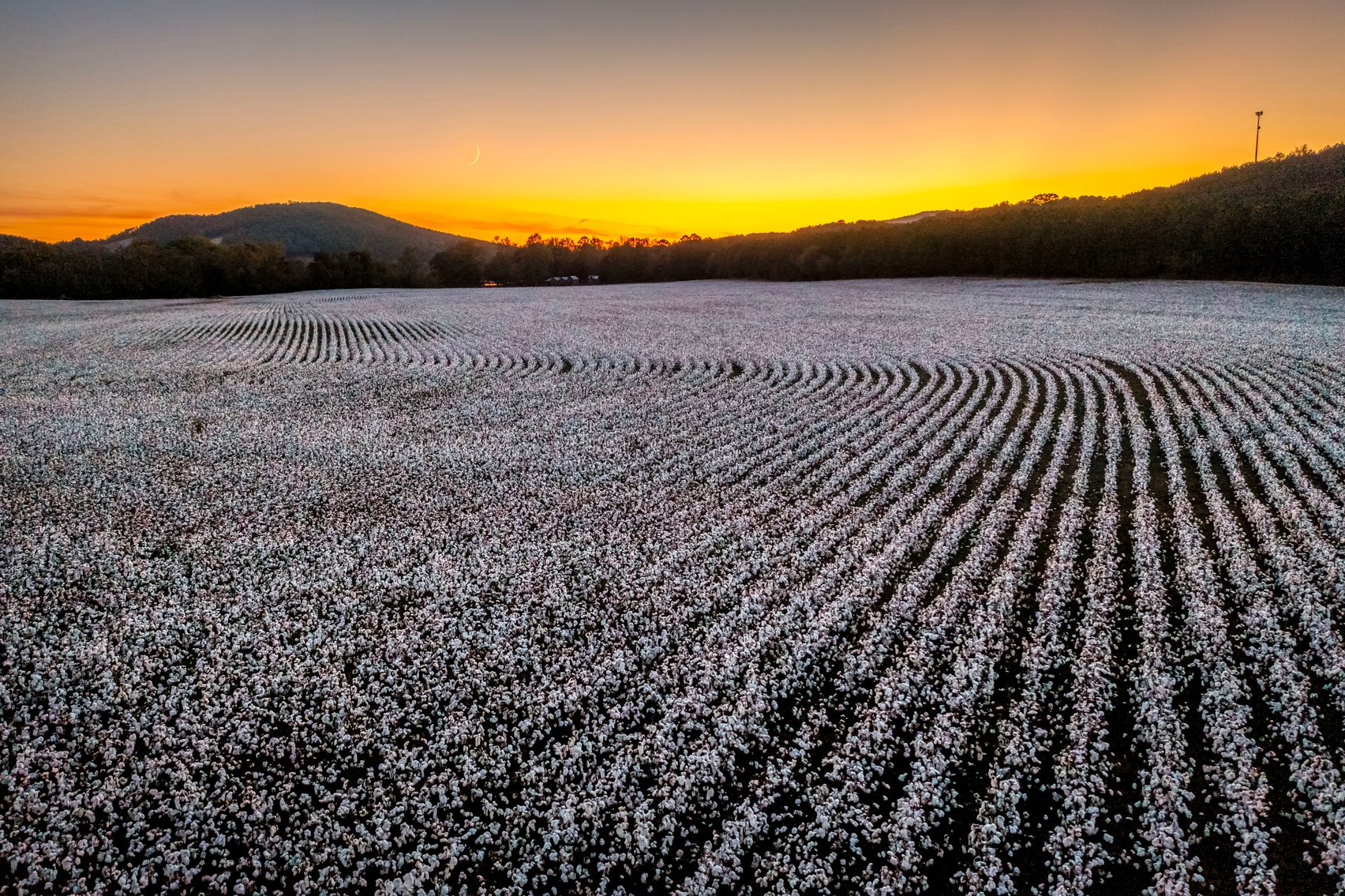 Image for THE RETREAT ON TERRAPIN CREEK 06.06.26
