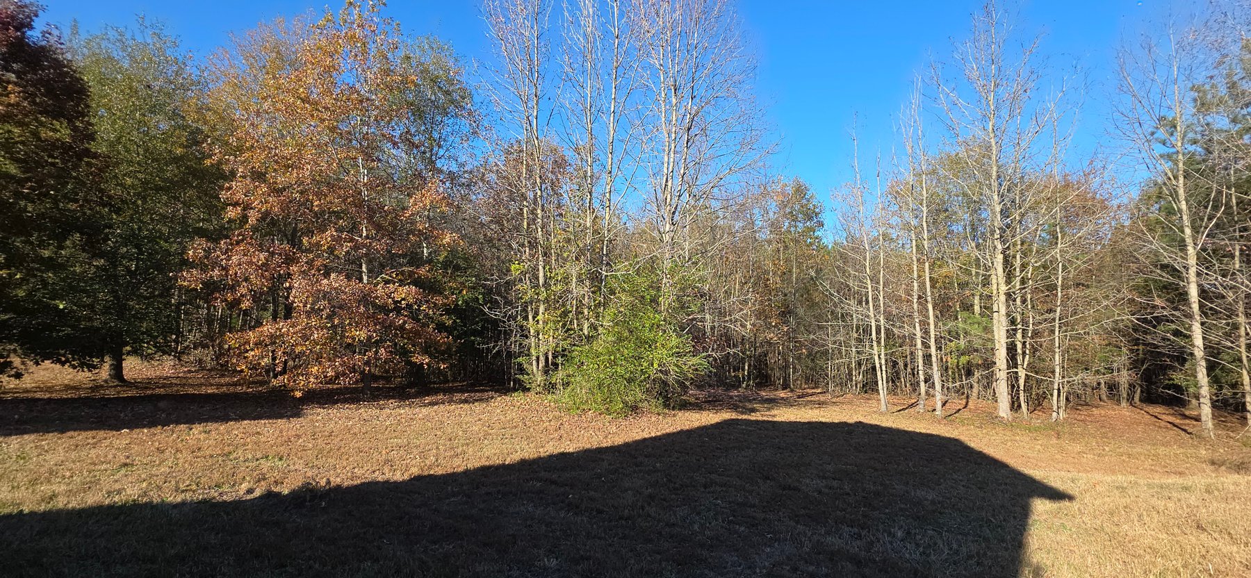 Image for 3250 County Road 59 Piedmont, AL