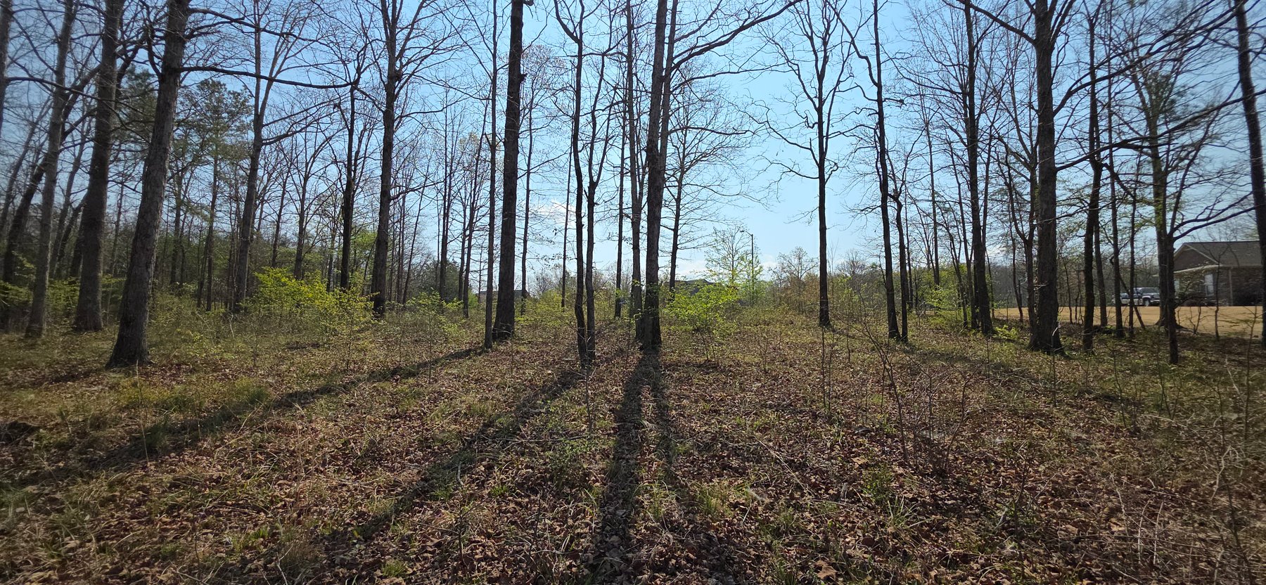 Image for Lot 38 Raintree Subdivision Centre, AL