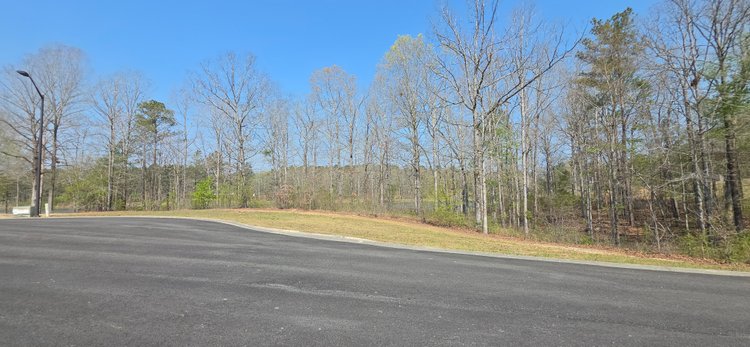 Image for Lot 38 Raintree Subdivision Centre, AL