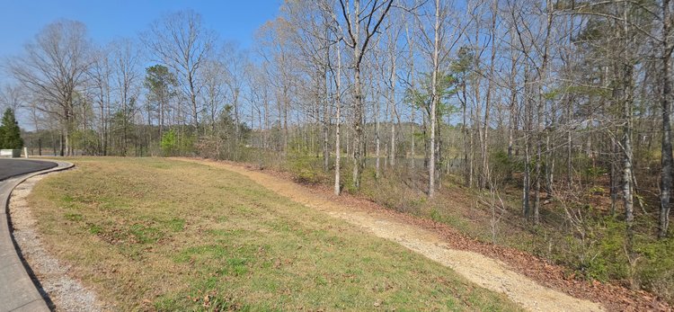 Image for Lot 38 Raintree Subdivision Centre, AL