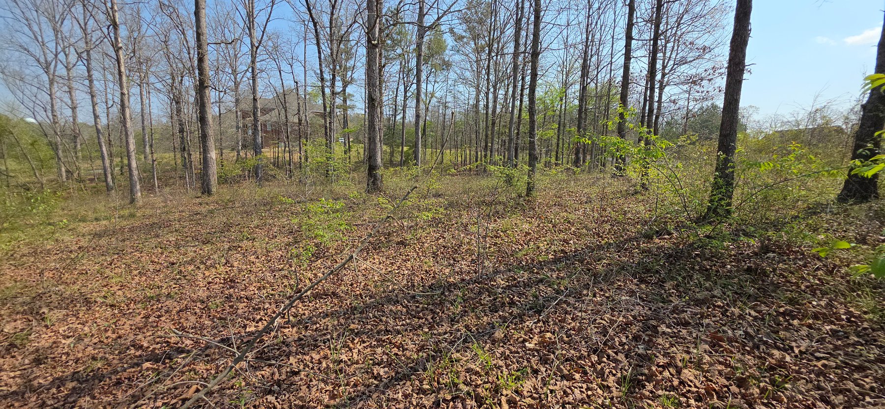 Image for Lot 38 Raintree Subdivision Centre, AL