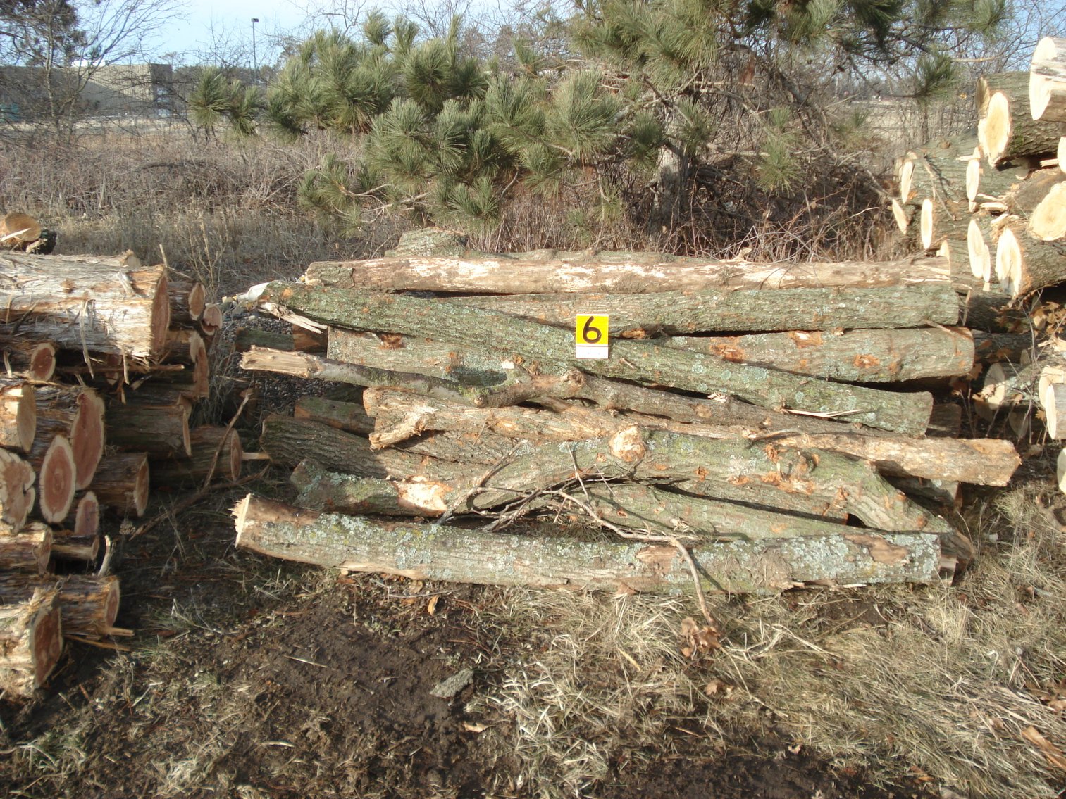 Sherburne County Fire Wood & Lumber Logs