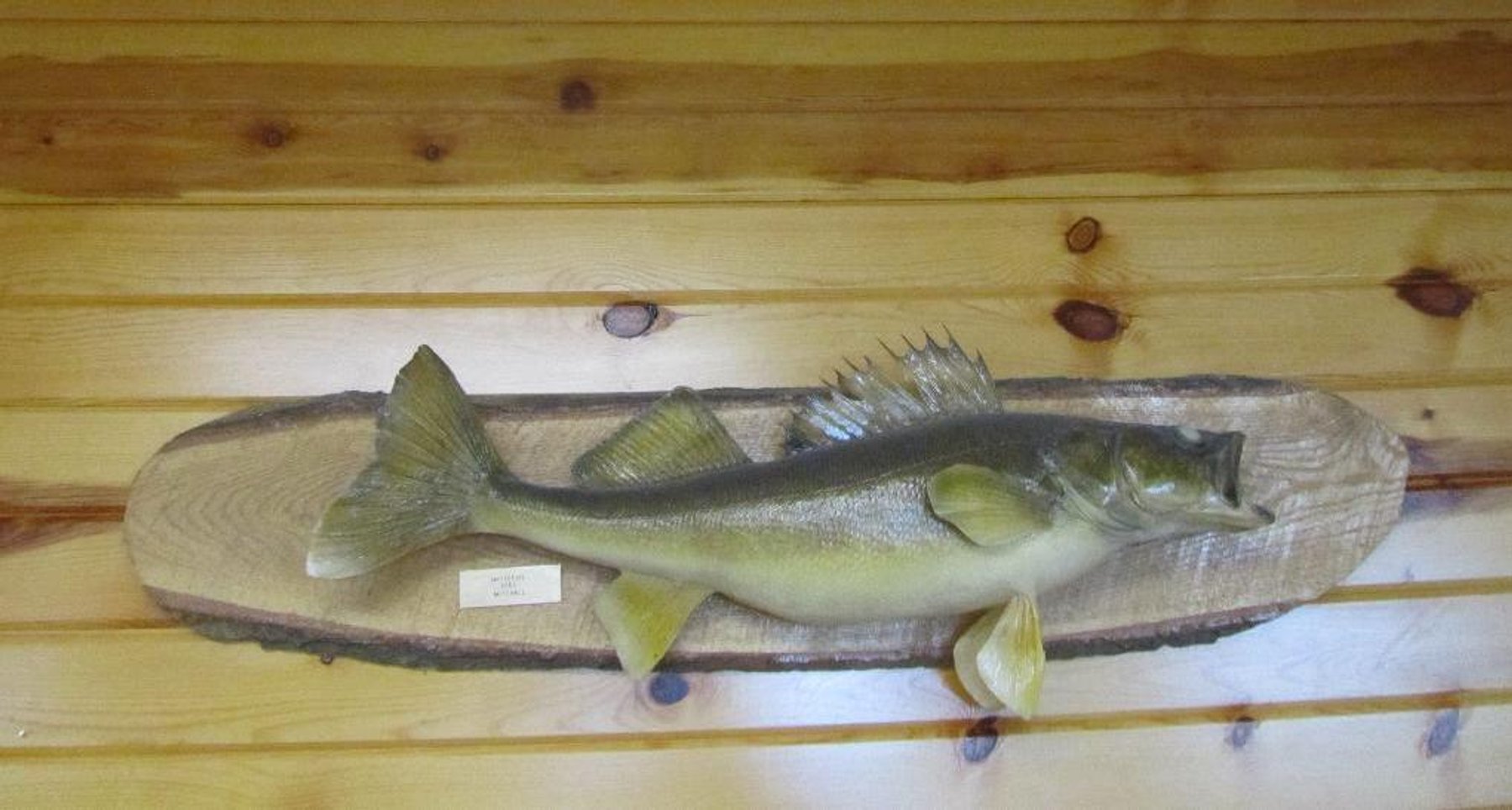 Mitchell Living Estate Moving Auction, Backus, MN