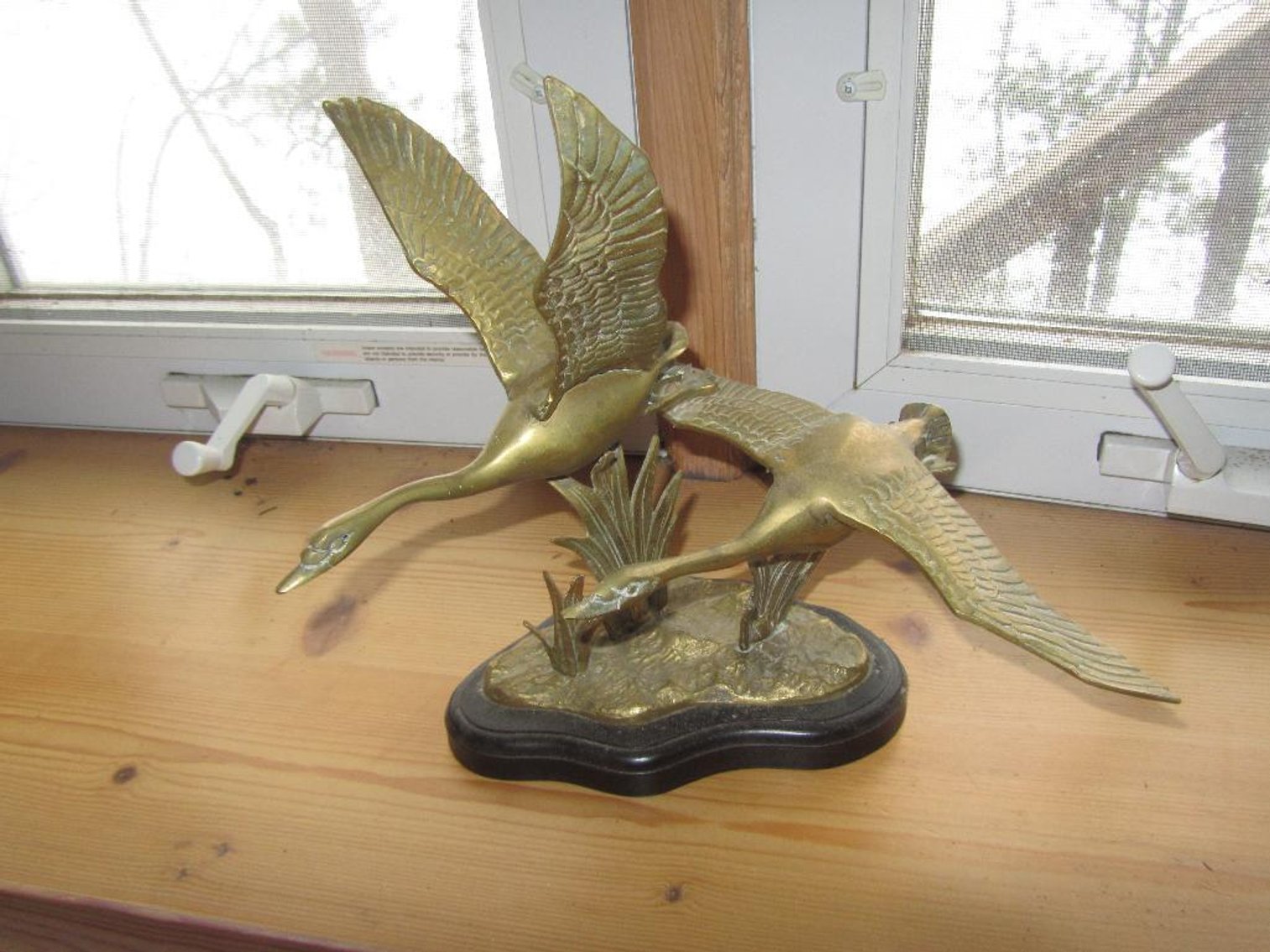 Joe Shepeluk Estate Brainerd, MN