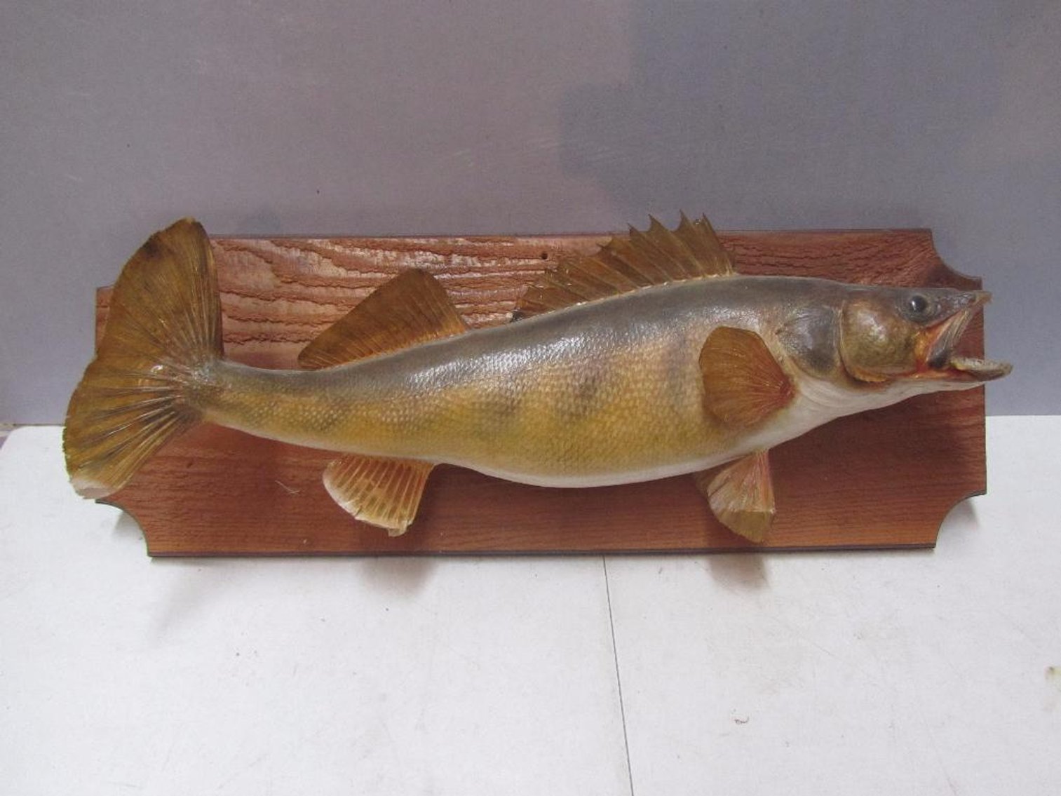 Moving Sale, Nisswa, MN