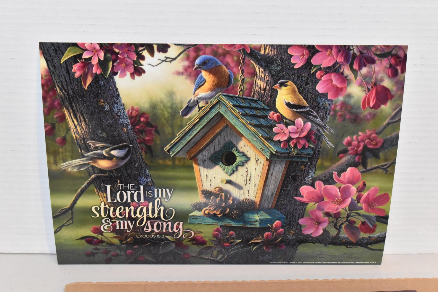 Nationally Acclaimed Kim Norlien Art Phase 2: Bulk Paper Prints, Equipment, Canvas & Framed Prints