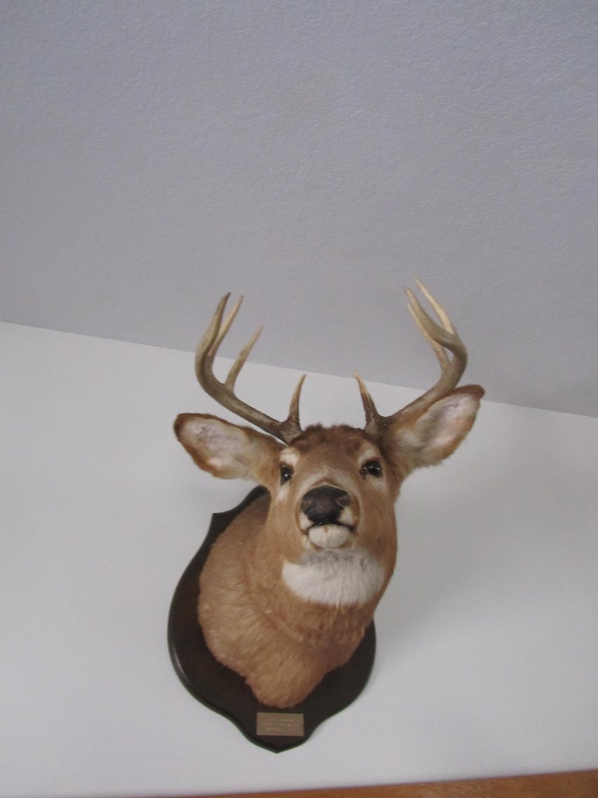 Cheryl Lundrigan Living Estate, Pine River, MN