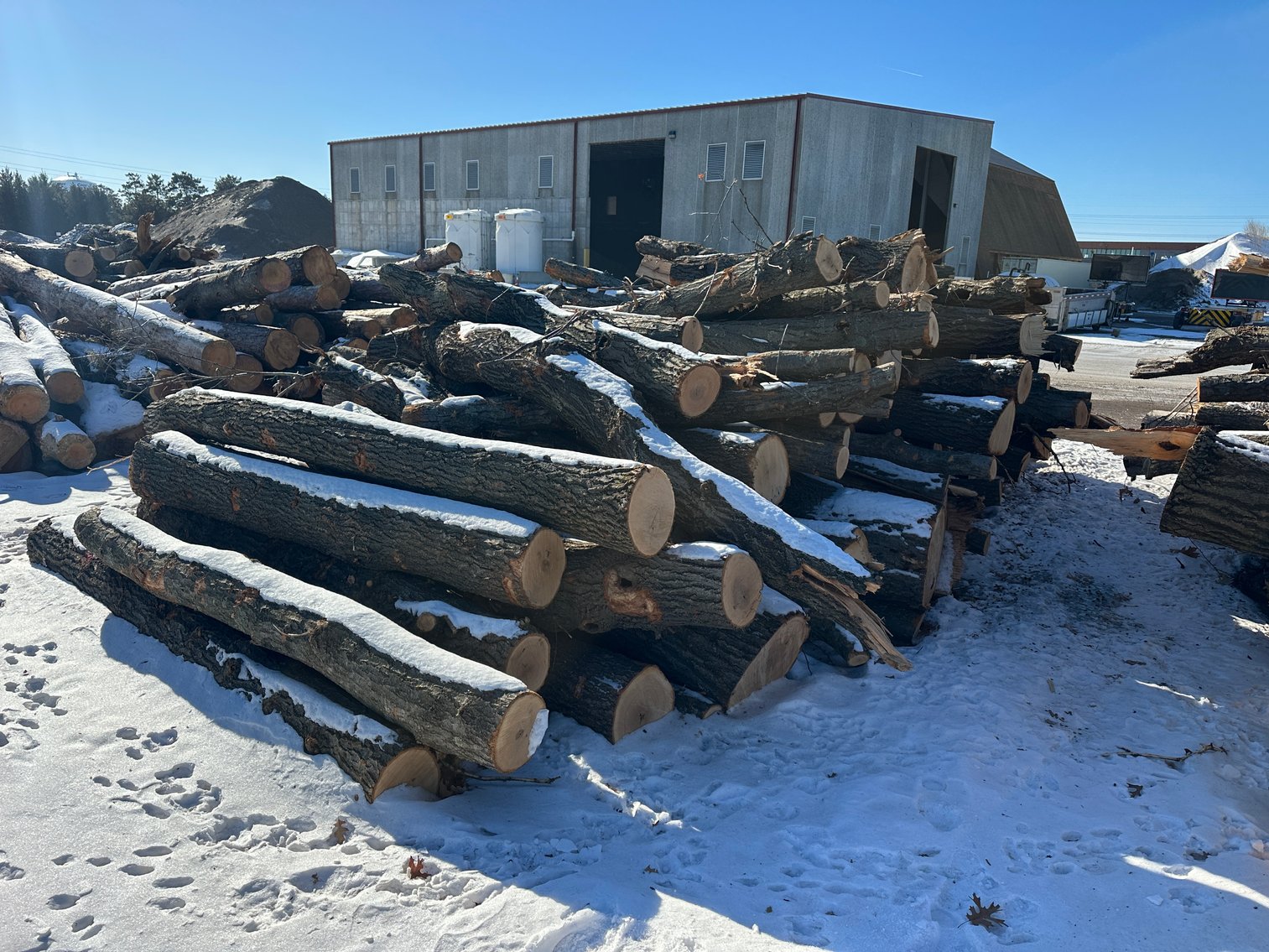 Fire Wood and Lumber Logs (156023)