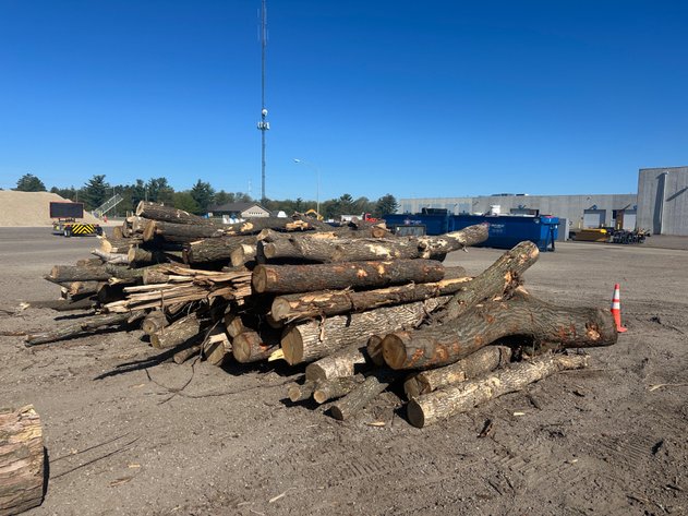 Image for Mulch & Fire Wood/Lumber Logs (141168)