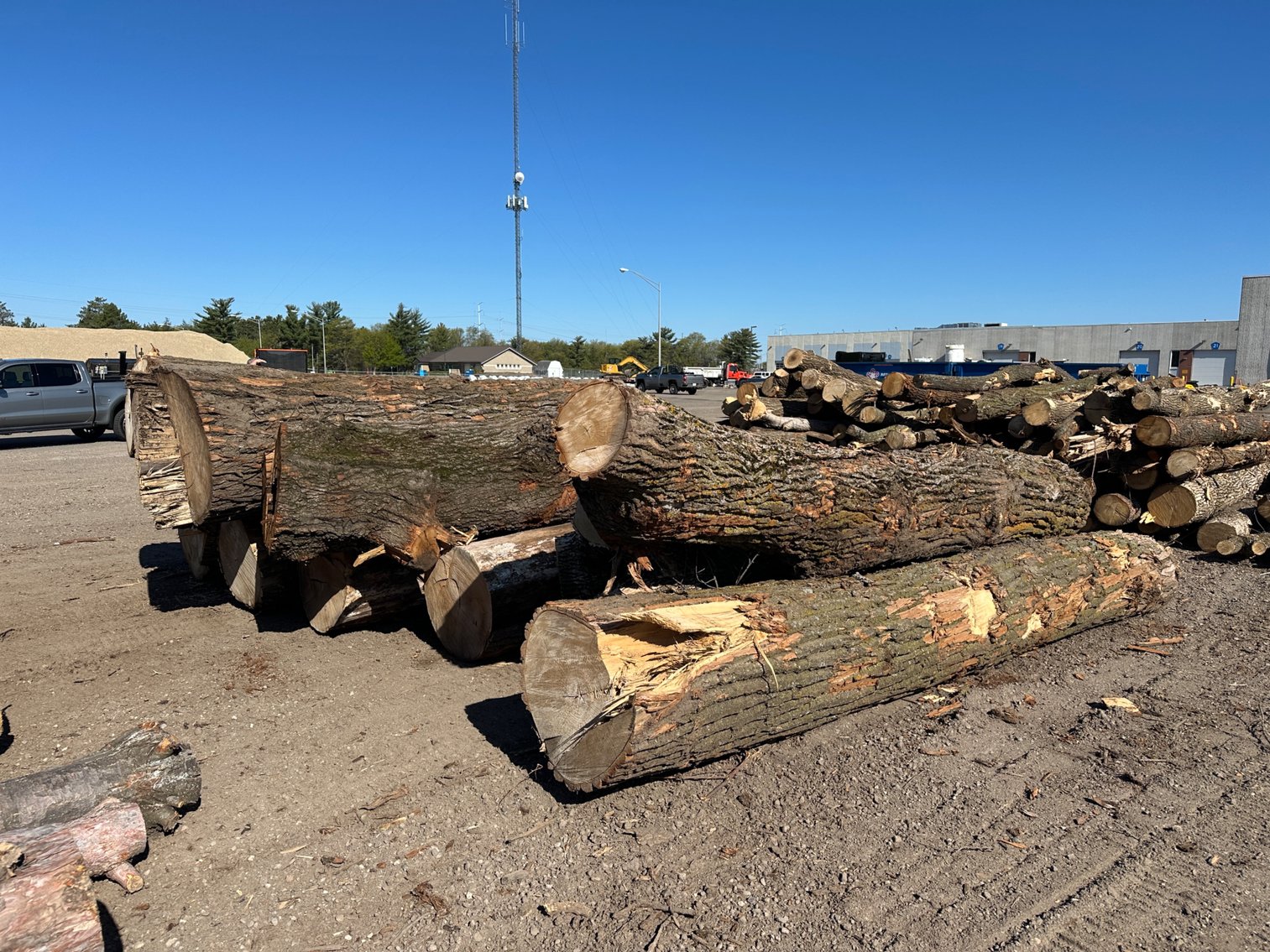 Mulch & Fire Wood/Lumber Logs (141168)