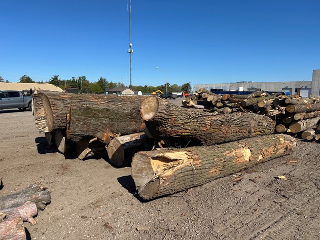 Image for Mulch & Fire Wood/Lumber Logs (141168)
