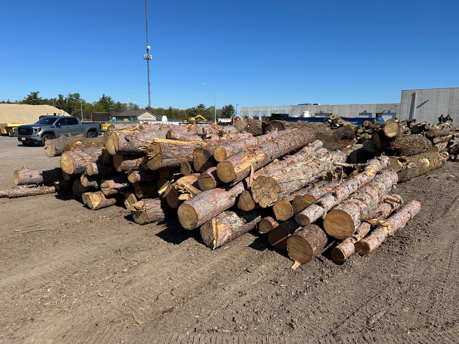 Mulch & Fire Wood/Lumber Logs (141168)