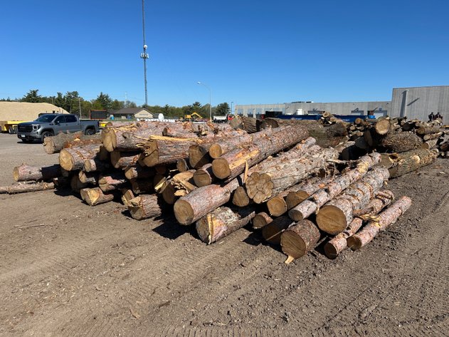 Image for Mulch & Fire Wood/Lumber Logs (141168)
