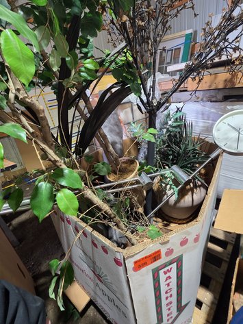 Image for Furniture & Home Decor (141163