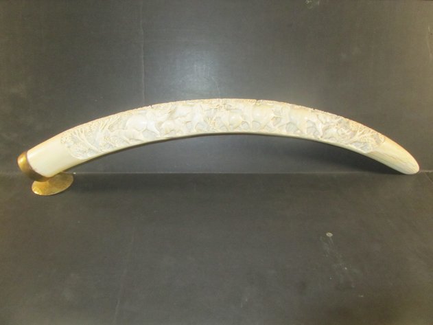 Image for Tanya Kirk Bollum Estate, Baxter, MN (145765)